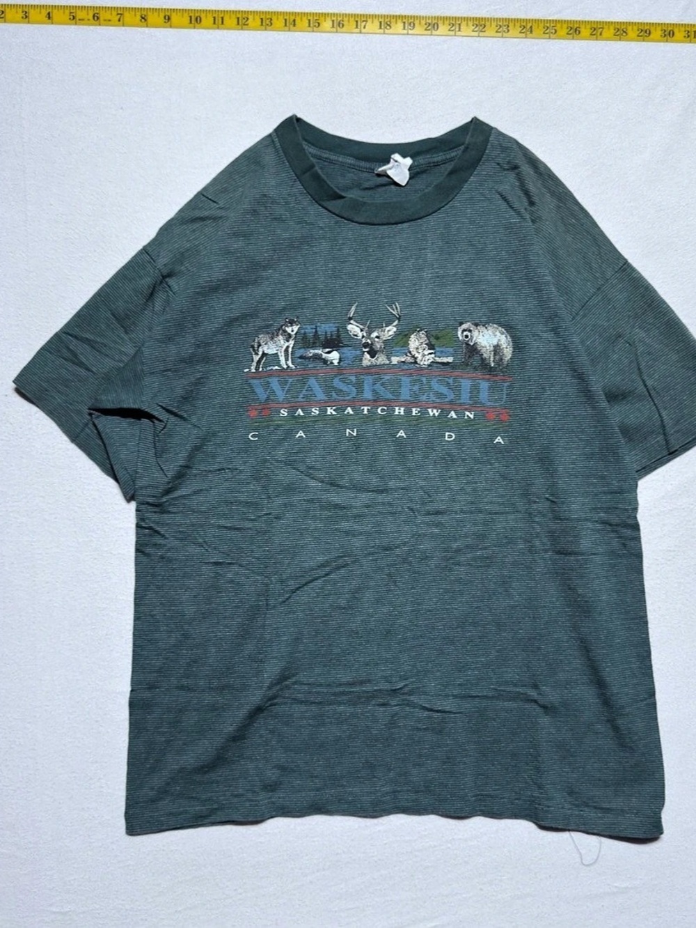 Quality Goods Co. Wildlife Saskatchewan Canada Graphic Tee in Green 1970-80s